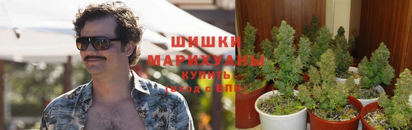 каннабис Алексеевка
