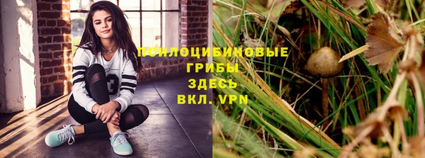 каннабис Алексеевка