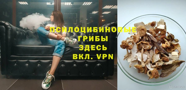 амф Алексин